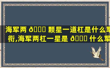 海军两 🐘 颗星一道杠是什么军衔,海军两杠一星是 🍁 什么军衔年薪多少